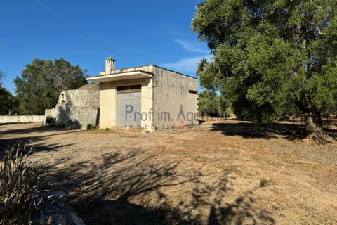 Landejendom i Ostuni, Brindisi, Ostuni - € 70.000 | Ref: 172708 - foto 2
